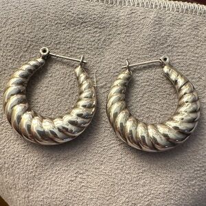 Elegant Silver Hoop Earrings